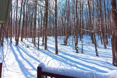 Wine Moose W Hot Tub Fireplace Sauna 9Min To Mt Snow Dover 외부 사진